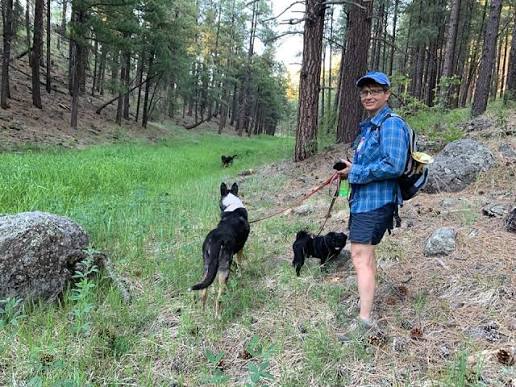 Choosing the Right Dog Harness for Hiking