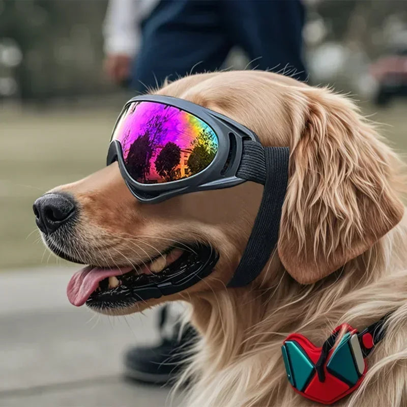 Adventure Gear