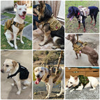 Skogra™ Tactical Dog Harness Set