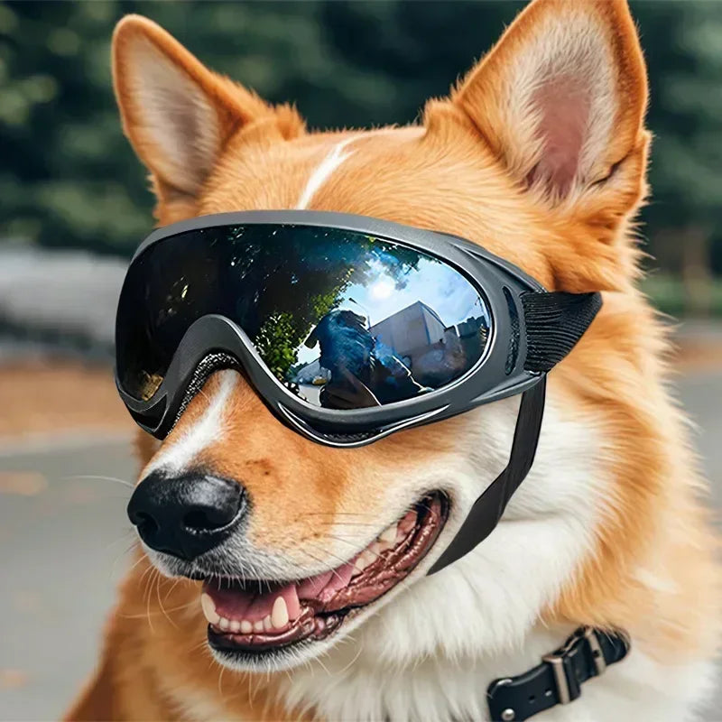 Skogra™ Anti-UV Dog Goggles