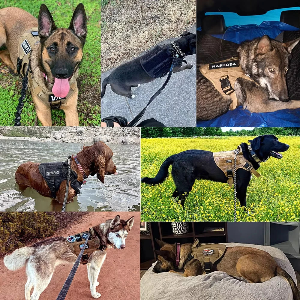 Skogra™ Tactical Dog Harness Set