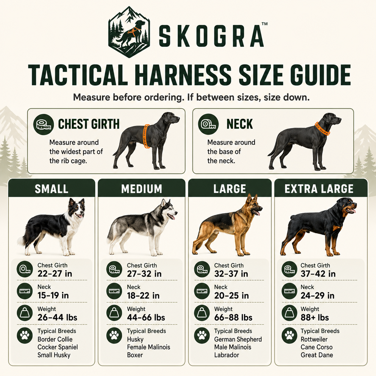 A Skogra Tactical Harness Size Guide infographic for dogs, showing chest girth and neck measurements for Small, Medium, Large, and Extra Large breeds with breed examples and weight ranges.